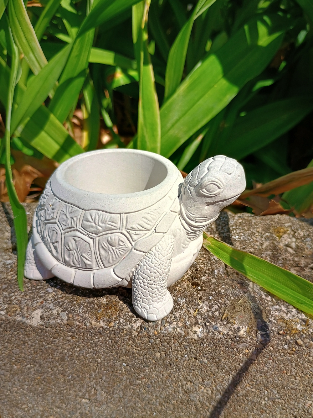 🐢 GARDEN CORE 🐢 NWOT Little concrete turtle planter, Fairy Core